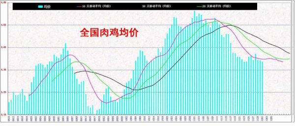 2017年肉鸡价格走势_养肉鸡赚钱吗