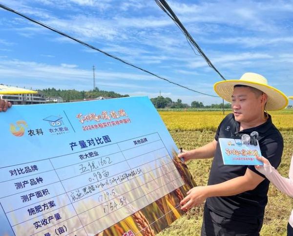 水稻种植技术_水稻亩产多少斤