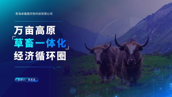 农村互联网代理怎么做_农村网络代理赚钱吗