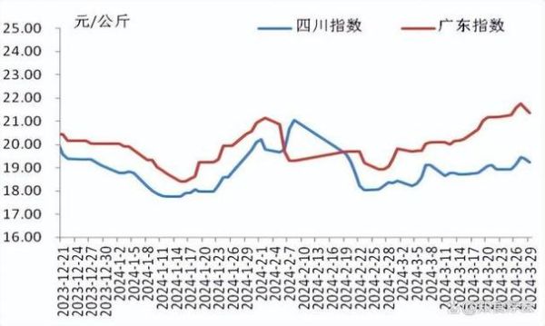 2024年生猪价格走势预测_非洲猪瘟防控措施有哪些