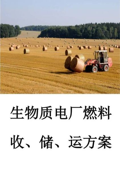 生物质能源发展前景怎么样_生物质能源有哪些优势