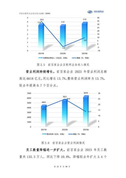 互联网企业如何增长_互联网企业如何盈利