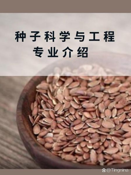 种子行业就业前景怎么样_种子专业毕业后能做什么