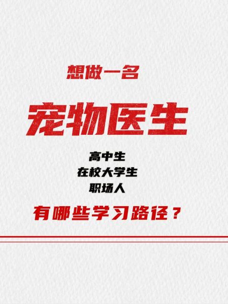 宠物医生就业前景怎么样_如何成为宠物医生