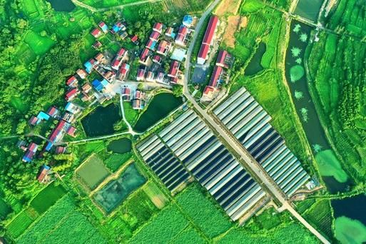 设施农业发展前景如何_未来赚钱吗