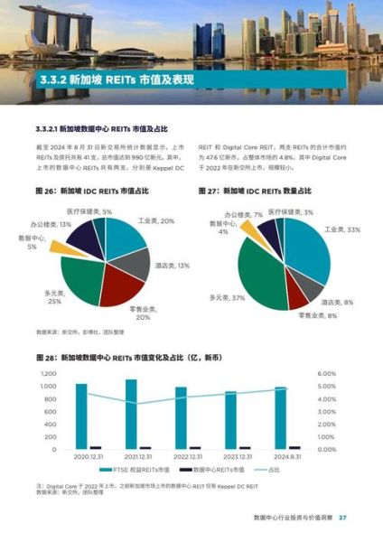 互联网数据控股是什么_如何分析其投资价值