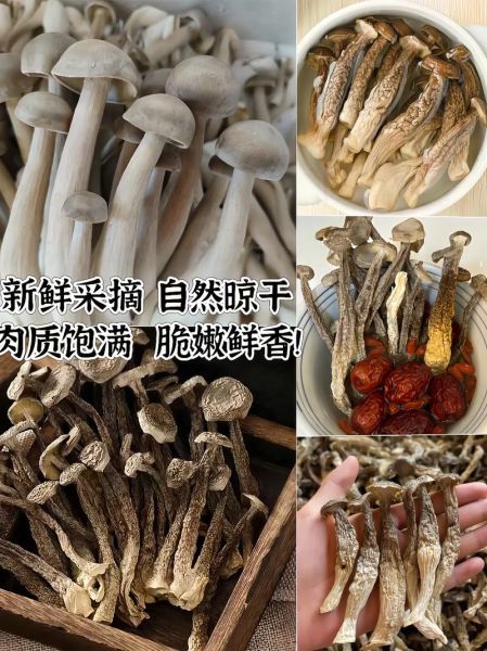 干货批发哪里便宜_如何挑选优质干货