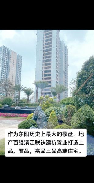 东阳发展前景怎么样_东阳适合投资吗