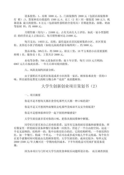 移动互联网创业计划书怎么写_2024年最新模板