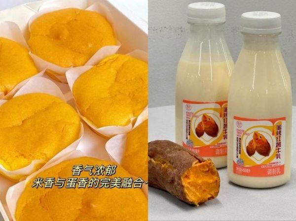 有机蔬菜哪里买_有机蔬菜真的健康吗