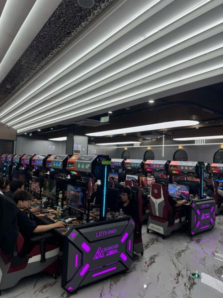 2017年网吧行业怎么样_网吧还能赚钱吗