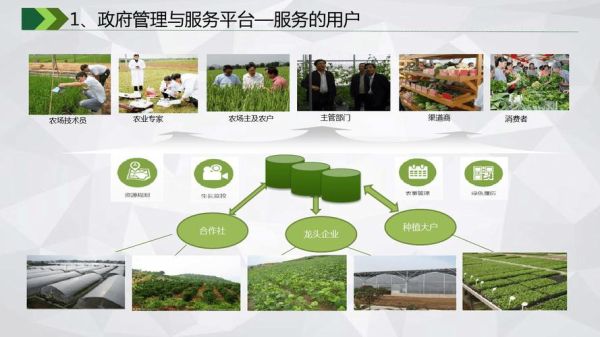 农业互联网平台有哪些_农业互联网创业做什么项目