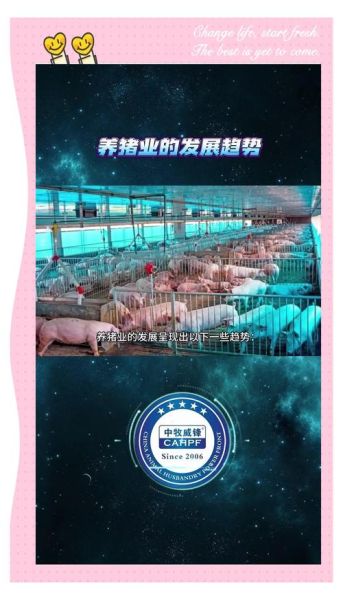 生猪养殖前景怎么样_2024年养猪还能赚钱吗