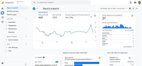 SEO数据分析怎么做_未来发展前景如何