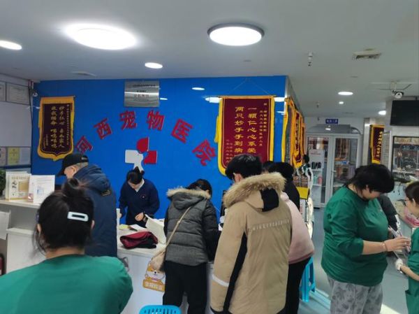 宠物医生前景怎么样_宠物医生收入高吗