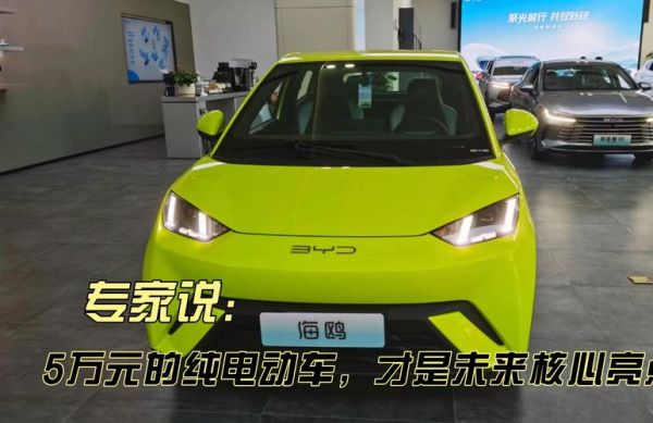 新能源汽车未来怎么样_值得投资吗