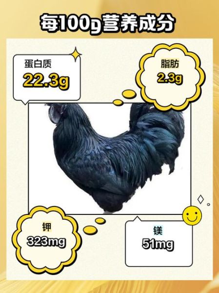 乌鸡养殖前景怎么样_乌鸡养殖赚钱吗