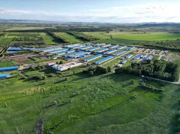 奶牛养殖前景怎么样_未来奶牛产业赚钱吗