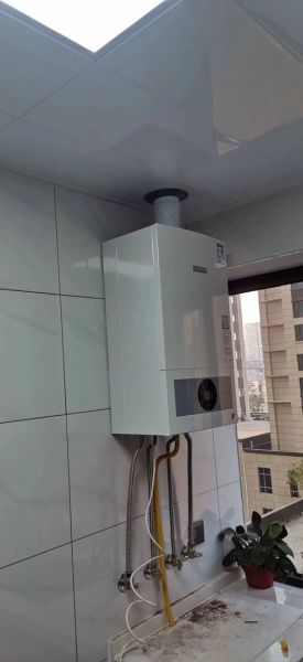 壁挂炉哪个牌子好_壁挂炉采暖费用高吗