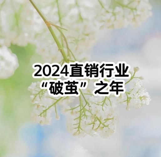 直销行业前景怎么样_2024年还能做直销吗