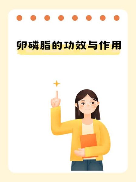 卵磷脂的作用与功效有哪些_卵磷脂市场前景如何