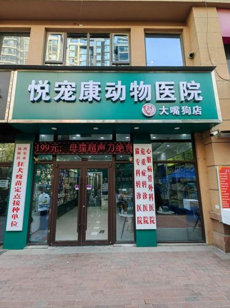 宠物医院哪家好_宠物看病多少钱