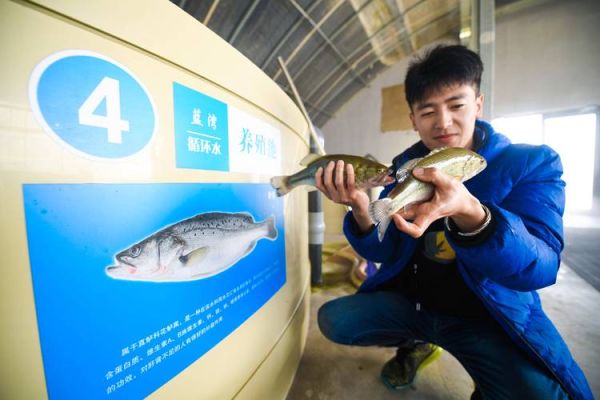 渔业行业前景如何_渔业养殖技术有哪些