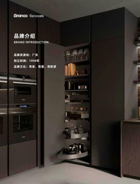 整体橱柜品牌哪个好_整体橱柜价格一般多少钱