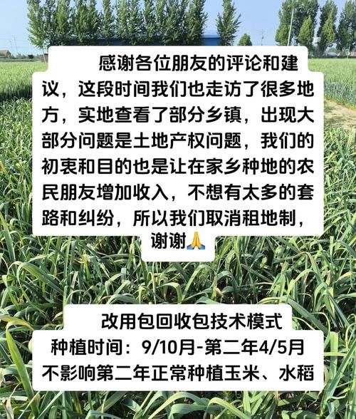 种植业前景怎么样_如何提高种植业收益