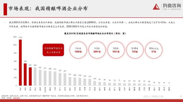 啤酒行业未来趋势_2024年精酿啤酒还能赚钱吗