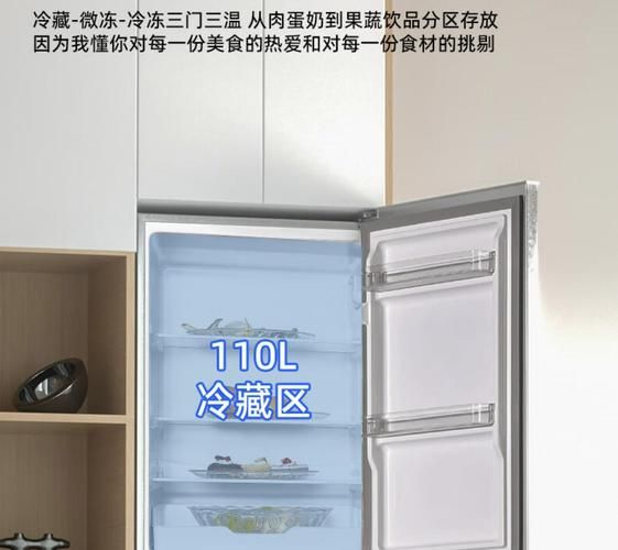 家用冰箱哪个牌子好_如何选购省电冰箱