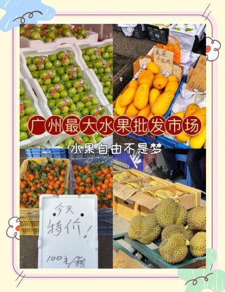 水果批发市场怎么拿货_水果店进货渠道有哪些