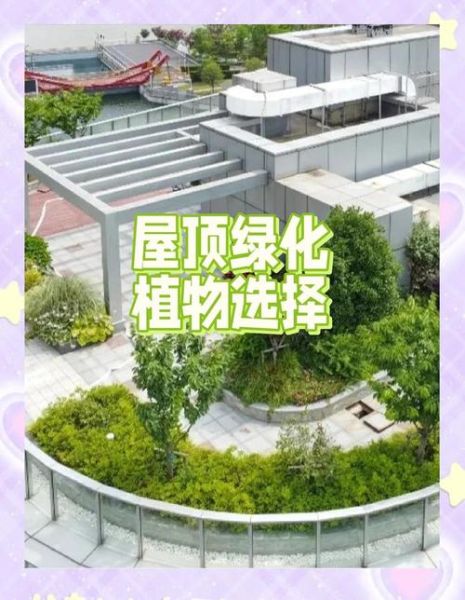 屋顶绿化多少钱一平_屋顶绿化有前途吗