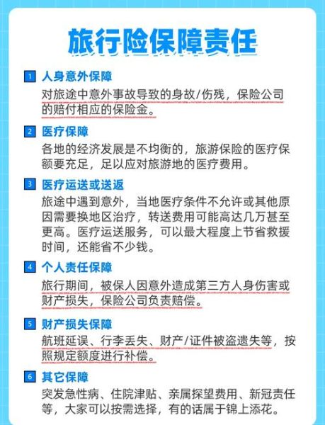 出境游签证怎么办理_出境旅游保险买哪个好