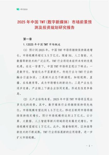 TMT行业前景如何_2024年TMT投资热点在哪