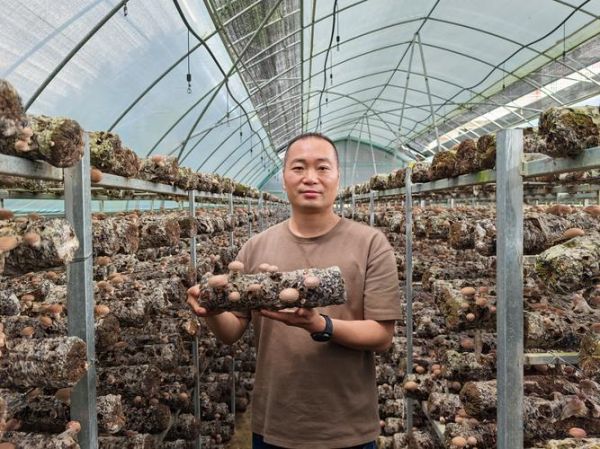 食用菌行业前景如何_食用菌种植赚钱吗