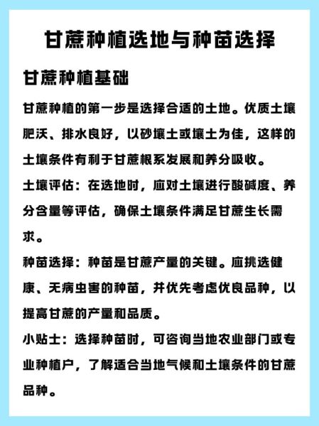 种甘蔗赚钱吗_甘蔗种植前景如何
