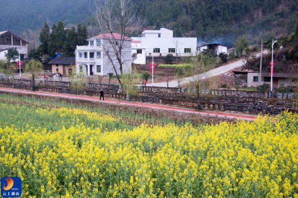 通山县前景怎么样_通山县适合投资吗