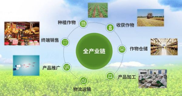 互联网农业由哪些部分组成_如何构建智慧农业体系