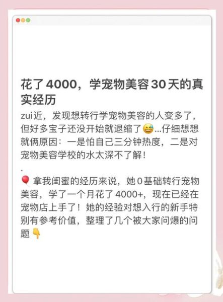 宠物美容多少钱一次_宠物美容都包括哪些项目