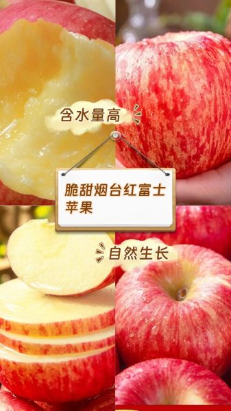 红富士苹果种植前景如何_红富士苹果未来价格走势