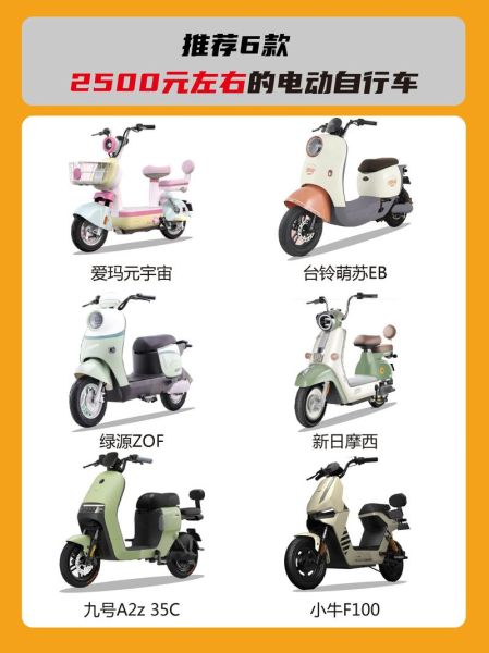 电动自行车市场前景如何_电动自行车值得投资吗