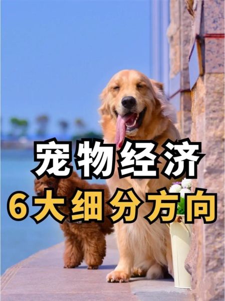 宠物市场未来五年赚钱吗_新手如何切入宠物赛道