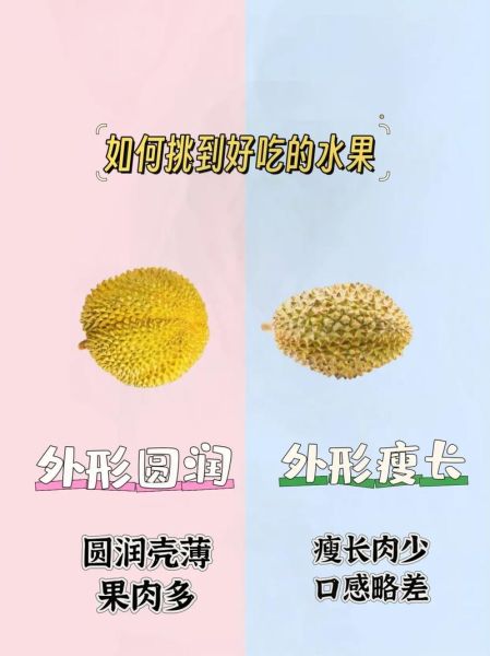 网上买水果哪个平台靠谱_如何挑选新鲜水果