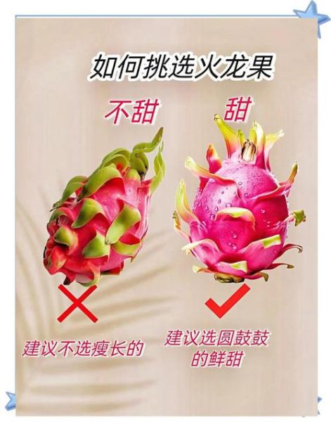 网上买水果哪个平台靠谱_如何挑选新鲜水果