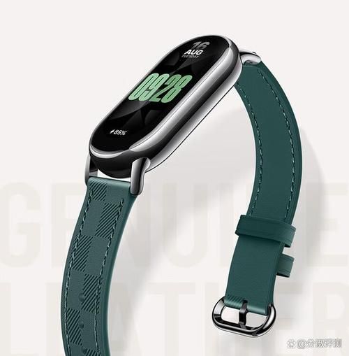 可穿戴设备有哪些品牌_2024年最值得买吗