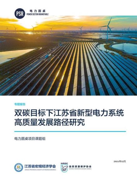 2013年电力行业前景如何_电力体制改革最新进展