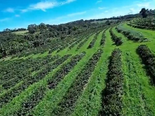 农业市场前景怎么样_未来五年哪些赛道最赚钱
