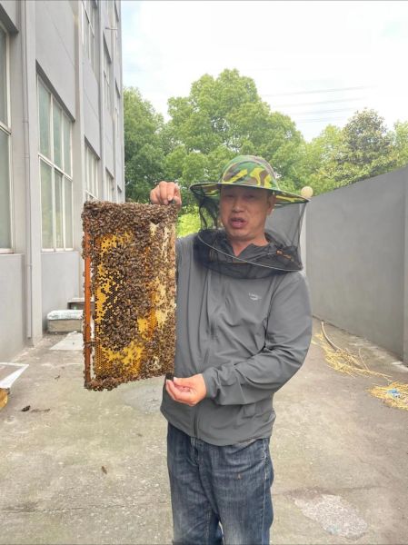 养蜜蜂赚钱吗_2024年养蜂前景怎么样