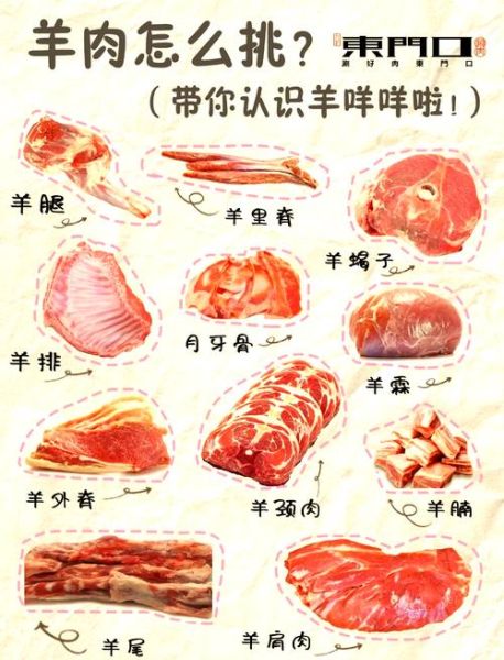 羊肉价格为什么涨_如何挑选优质羊肉